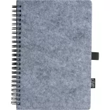 2374407-Notes-cu-pasla-RPET
