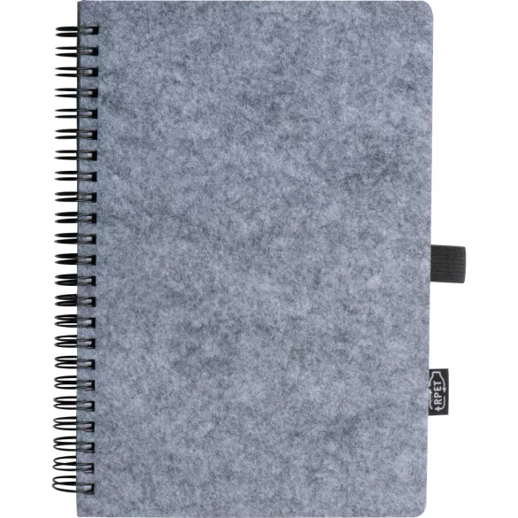 2374407-Notes-cu-pasla-RPET