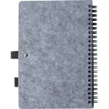 2374407-Notes-cu-pasla-RPET