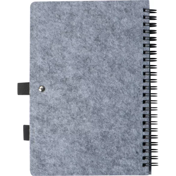 2374407-Notes-cu-pasla-RPET