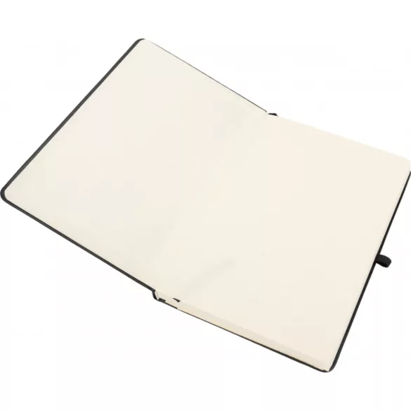 2763603 - Notes cu linii - A5