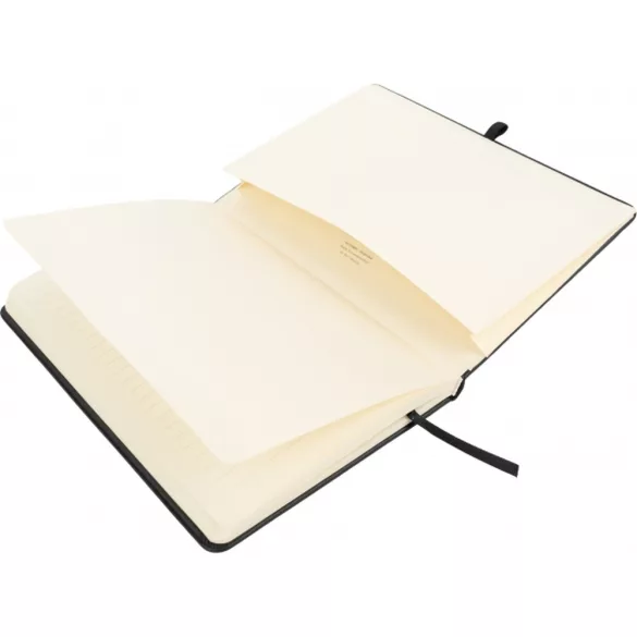 2763603 - Notes cu linii - A5