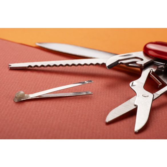 29194-04-Briceag-HIDI