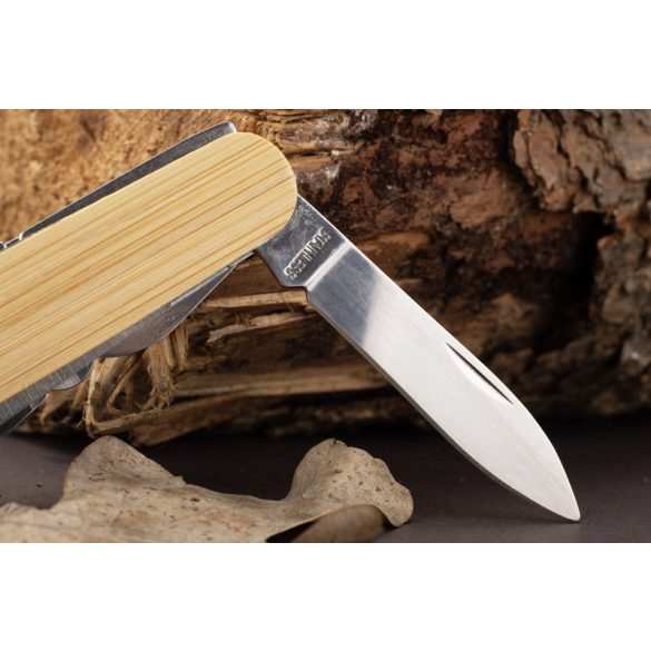 29195-17-Briceag-KANA