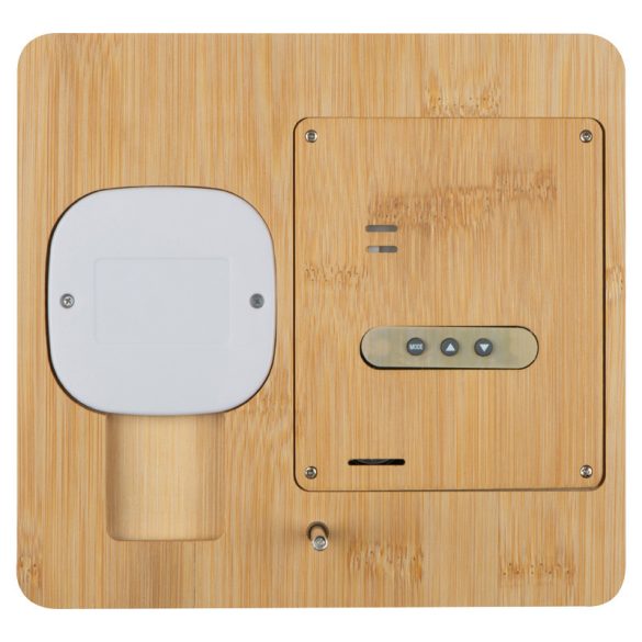 3319413-Statie-meteo-din-bambus