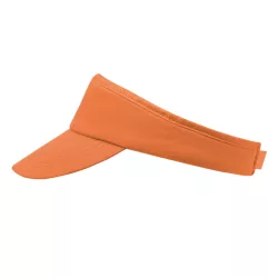 3330-007MK-Vizor-Tiger