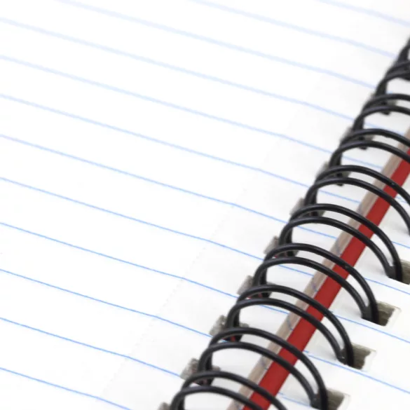 3389-002MK-Notebook-Gulliver