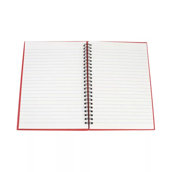 3389-019MK-Notebook-Gulliver