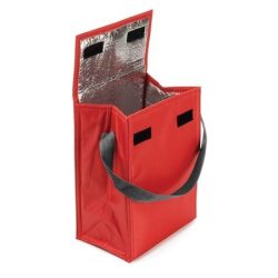 3609-08-geanta-termoizolanta-