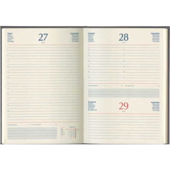 373SIRIOGR18-Agenda-datata-zilnic-Sirio-Grigio