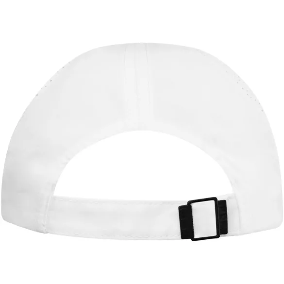37517010-Sapca-Morion