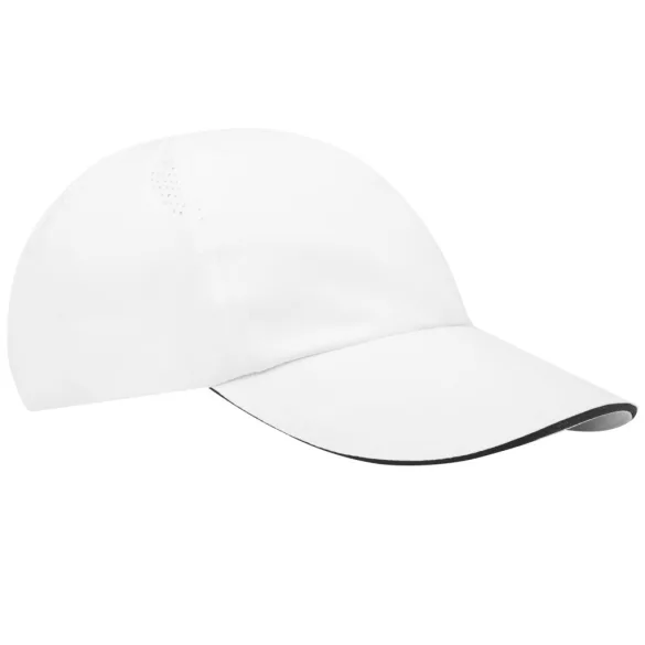 37517010-Sapca-Morion