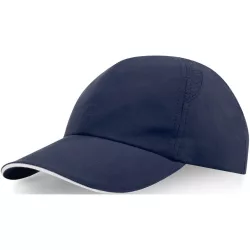 37517550-Sapca-Morion