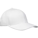 37542010 - Sapca - Opal