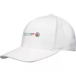37542010 - Sapca - Opal