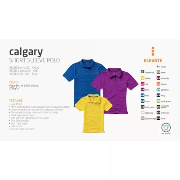 38080230-tricou-polo-calgary