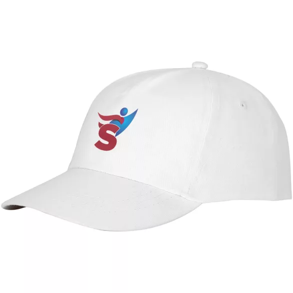 38666010-Sapca-Feniks