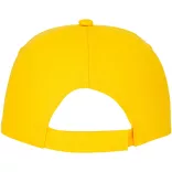 38666100-Sapca-Feniks