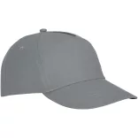38666800-Sapca-Feniks
