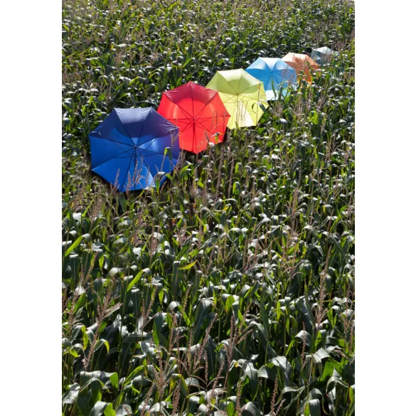 4064-06-umbrela-automata-