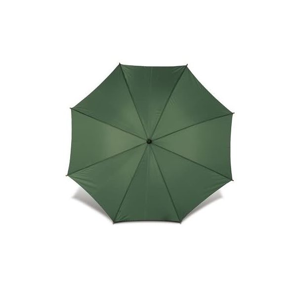 4070-04-umbrela-automata-