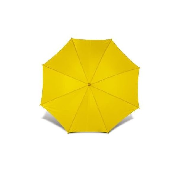 4070-06-umbrela-automata-