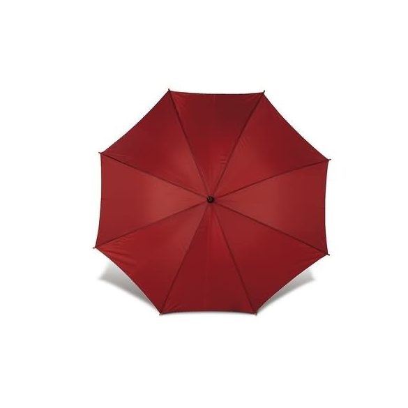 4070-10-umbrela-automata-