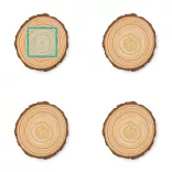 PV4140-Set-fantastic-de-4-suporturi-realizate-din-lemn-natural-de-pin-PINEA-NATURAL