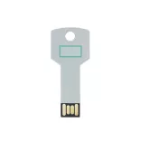US4187-Memorie-USB-2-CYLON-ARGINTIU