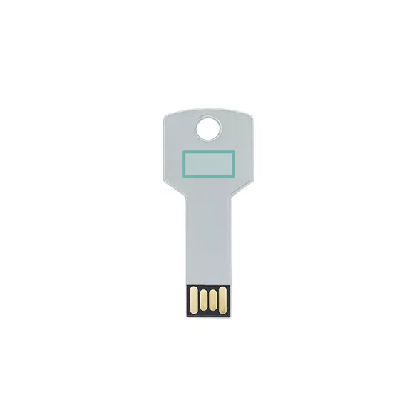 US4187-Memorie-USB-2-CYLON-ARGINTIU
