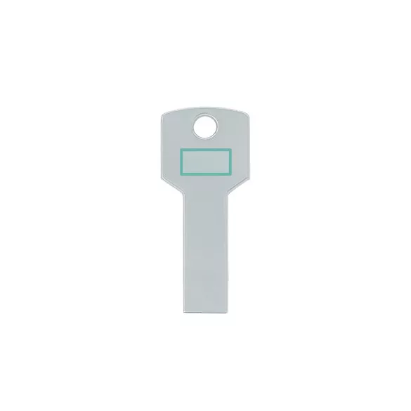 US4187-Memorie-USB-2-CYLON-ARGINTIU