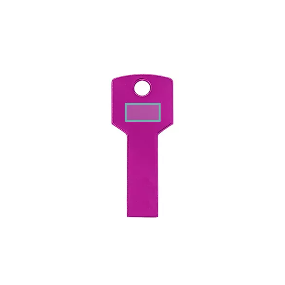 US4187-Memorie-USB-2-CYLON-FUCSIA