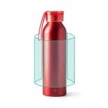 BI4212-Sticla-din-aluminiu-reciclat-cu-capac-si-curea-de-transport-asortate-LEWIK-ROSU