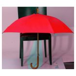 4243605-Umbrela-automata-RPET