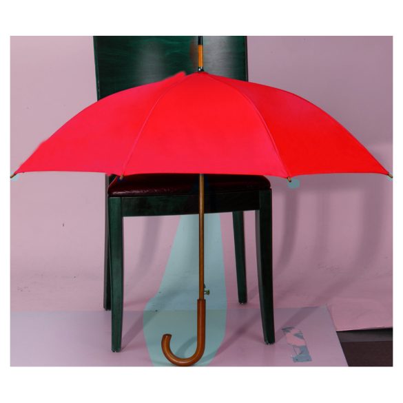 4243605-Umbrela-automata-RPET