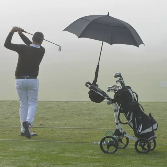 4345203-umbrela-golf