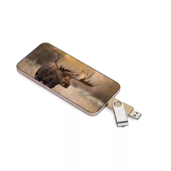 44097-17-Memory-stick-USB-32-GB-TWISTER-PRO
