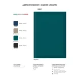 448KENTN21-Agenda-nedatata-KENT-NEGRU
