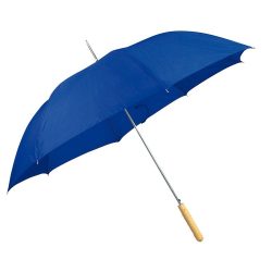 4508604-umbrela-automata