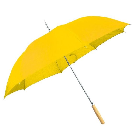 4508608-umbrela-automata
