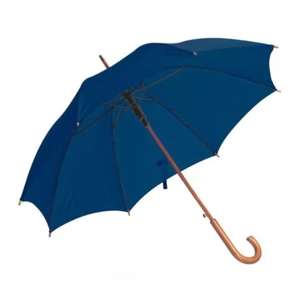 4513144-umbrela-automata