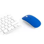 4624-002MK-Mouse-optic-Lyster