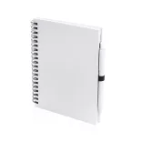 4729-001MK-Notes-Koguel