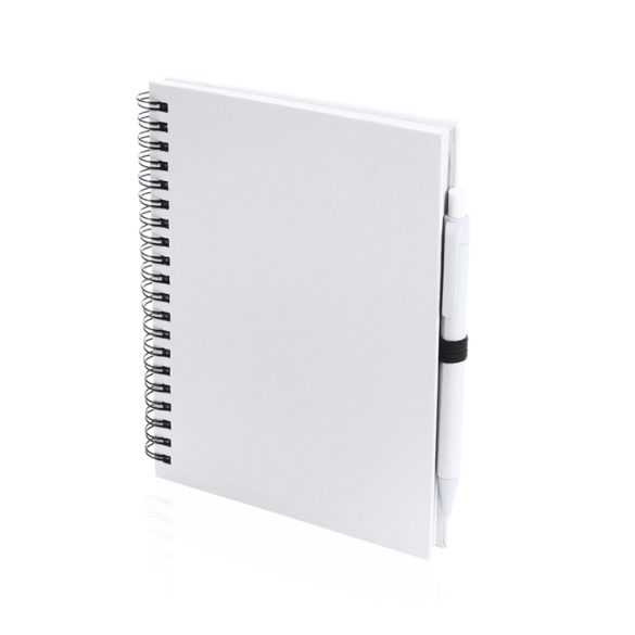 4729-001MK-Notes-Koguel