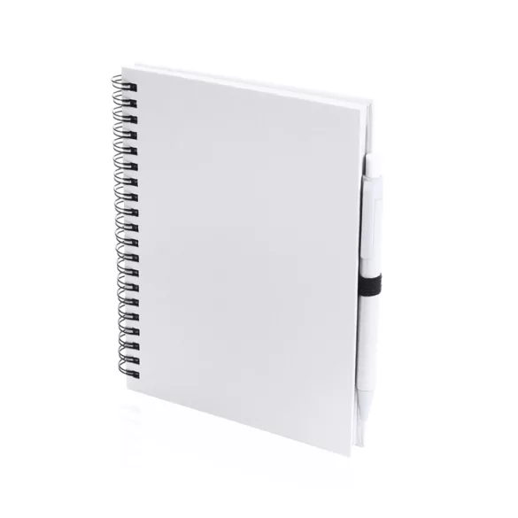 4729-001MK-Notes-Koguel