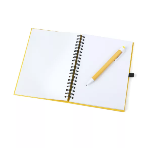 4729-003MK-Notes-Koguel