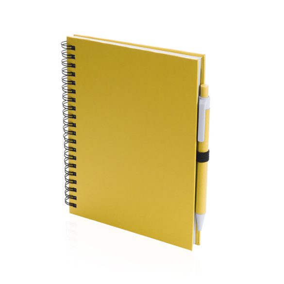 4729-005MK-Notes-Koguel
