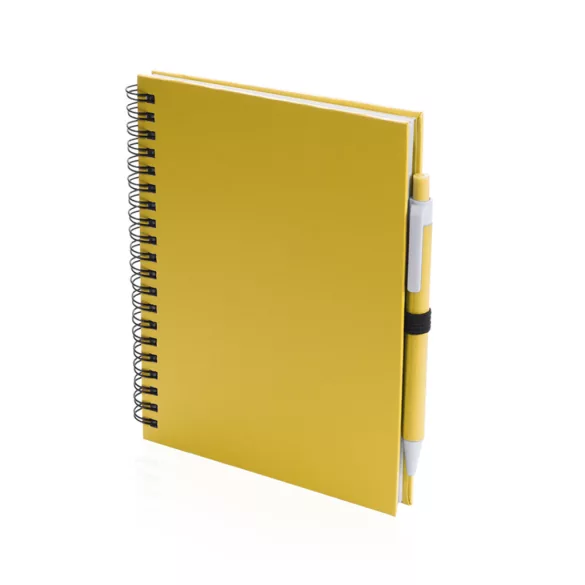 4729-005MK-Notes-Koguel