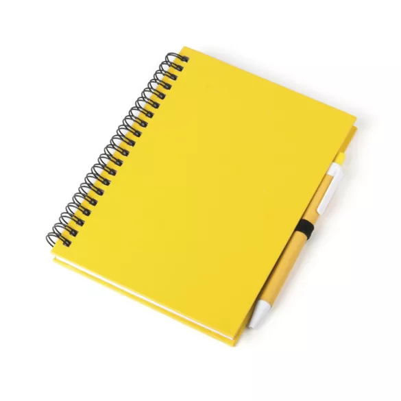 4729-005MK-Notes-Koguel