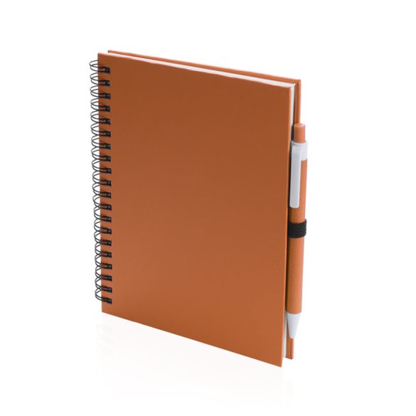 4729-007MK-Notes-Koguel